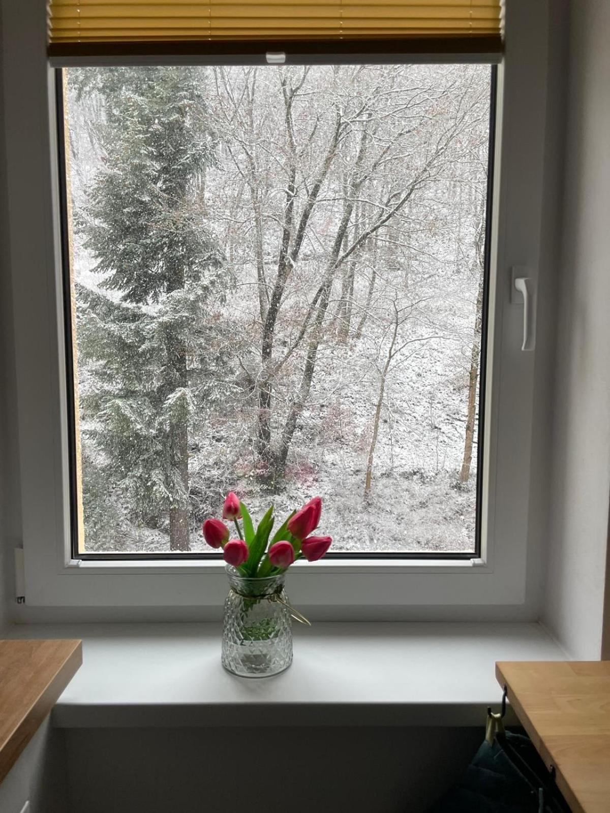 Apartman Claudia - Rezidence K Lanovce Jáchymov Exterior foto